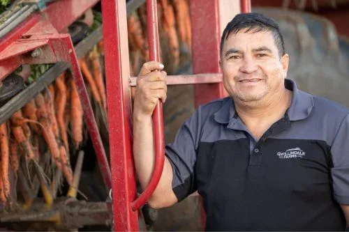 Image of a man in a black and grey Gwillimdale Farms polo shirt, standing beside a large piece of farming equipment. Freshly harvested carrots can be seen hanging behind him.