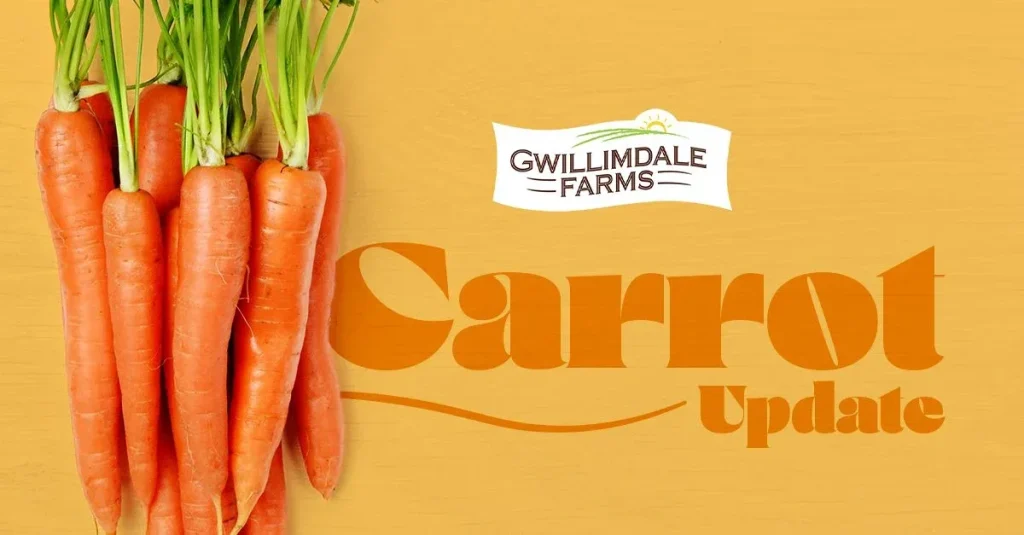 gwill carrot 112322