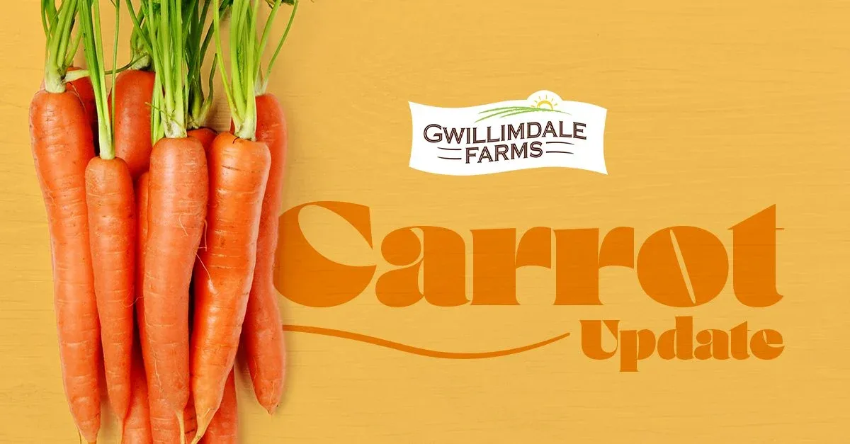 Gwillimdale Farms Launches In-Store Marketing Campaign at Longo's Locations; Courtney Enns Tells All