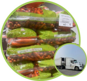 Another pair of round photos, in the same arrangement as the previous two. The larger depicts 50 pound bags of freshly harvested carrots, stacked on top of eachother in alternating directions, in preparation for shipping. The smaller photo depicts the cab of a large transport truck.