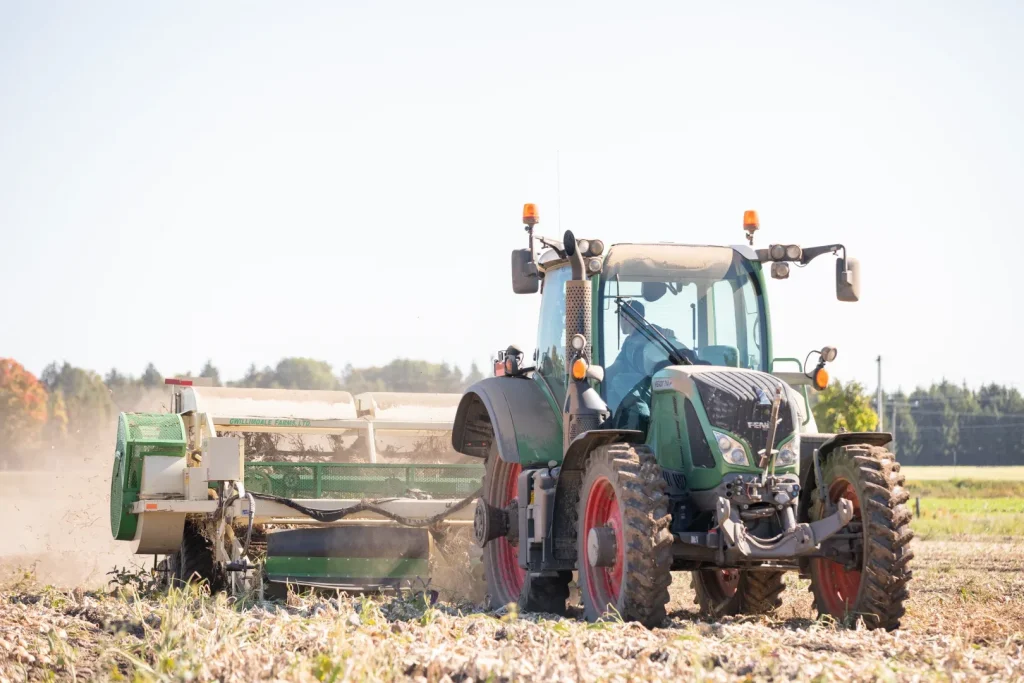 harvest season