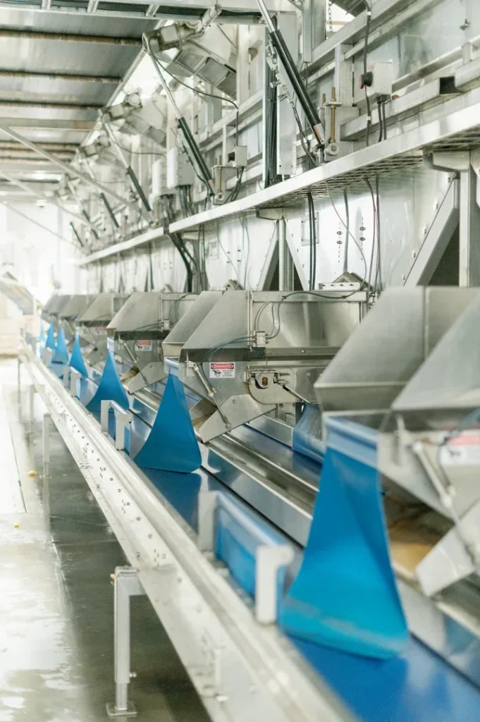 Packing Plant