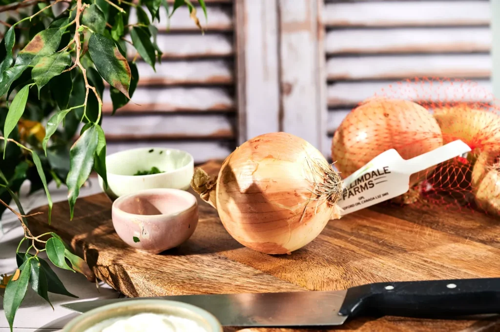 Sour Cream and Onion Dip 2 Onion Sour Cream Dip 01