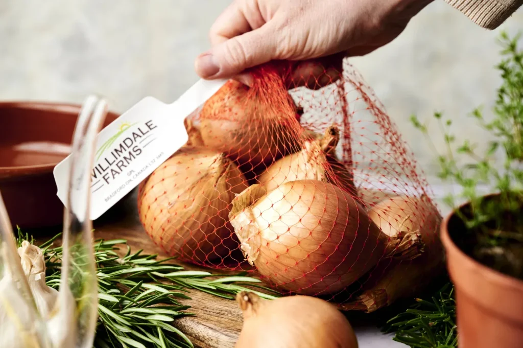 Spanish Onion Chicken (Pollo Encebollado) 2 Spanish Onion Chicken 04