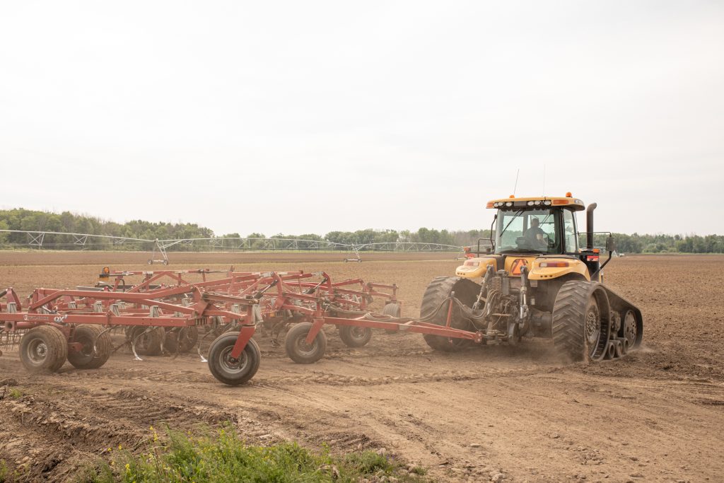 Growing Strong: From Seed to Table with Innovation and Care 2 growing