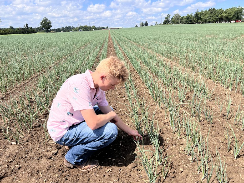 Grow With Gwillimdale Scholarship